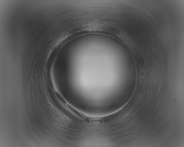 X0000054380727200507291116