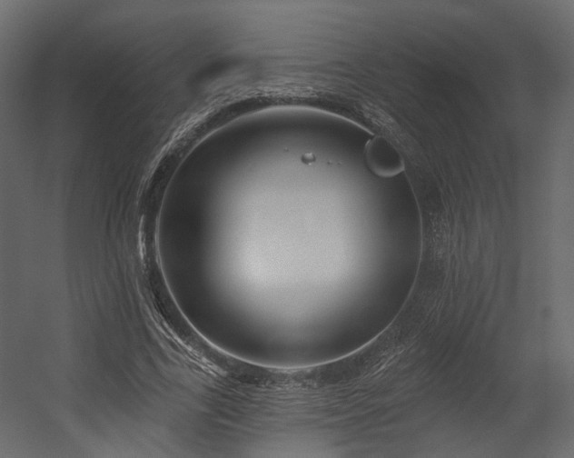X0000054380731200507291117