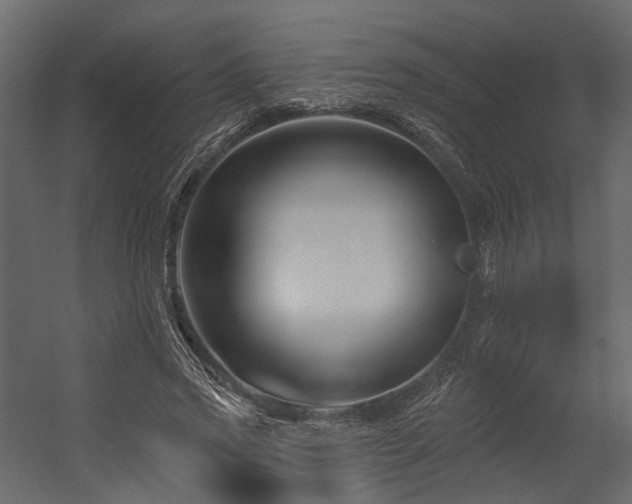 X0000054380733200507291117