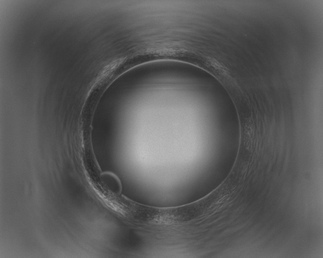X0000054380734200507291117
