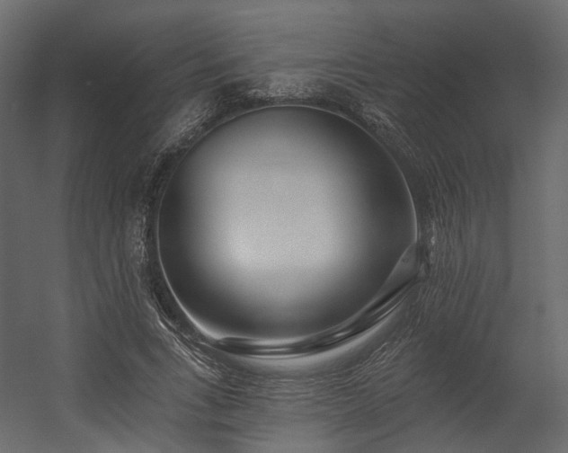 X0000054380735200507291117