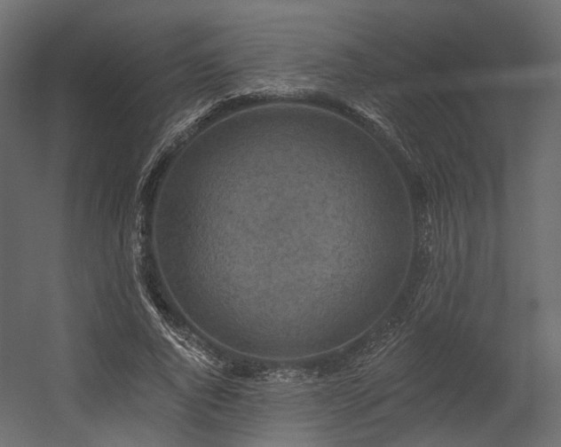 X0000054380736200507291117