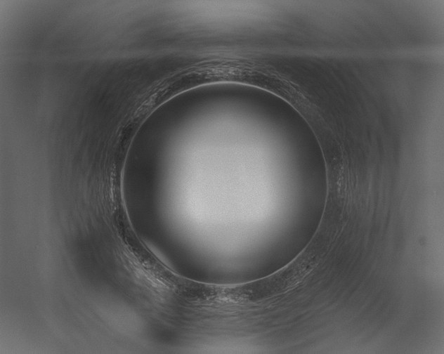 X0000054380737200507291117