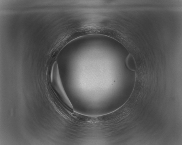 X0000054380742200507291117