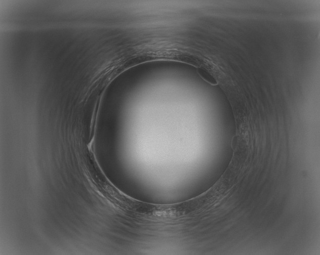 X0000054380744200507291117