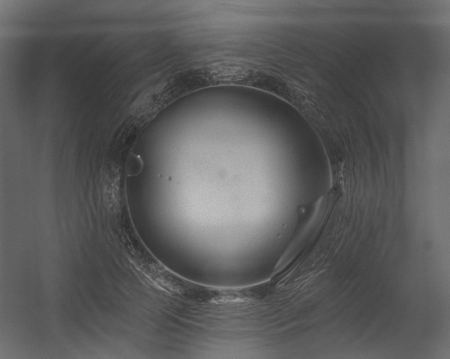 X0000054380745200507291117