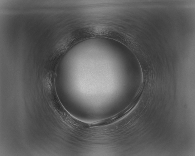 X0000054380746200507291117