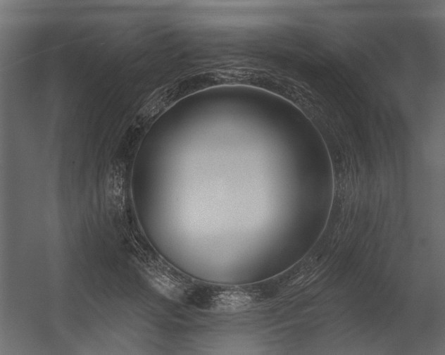 X0000054380749200507291117