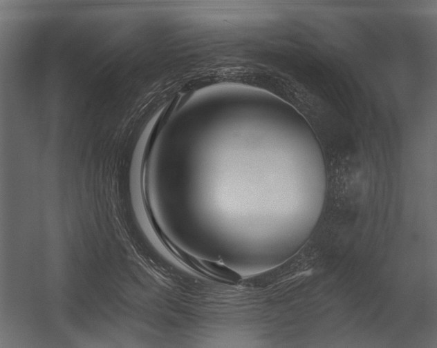 X0000054380750200507291117