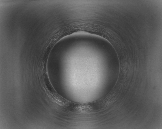 X0000054380752200507291117