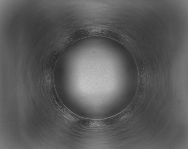 X0000054380753200507291117