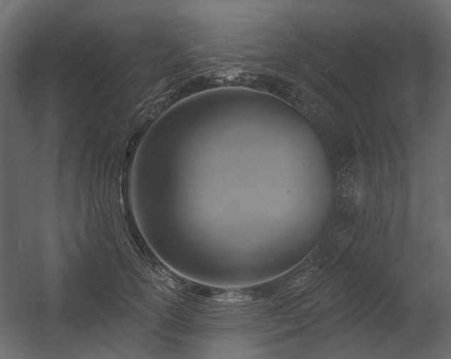 X0000054380754200507291117