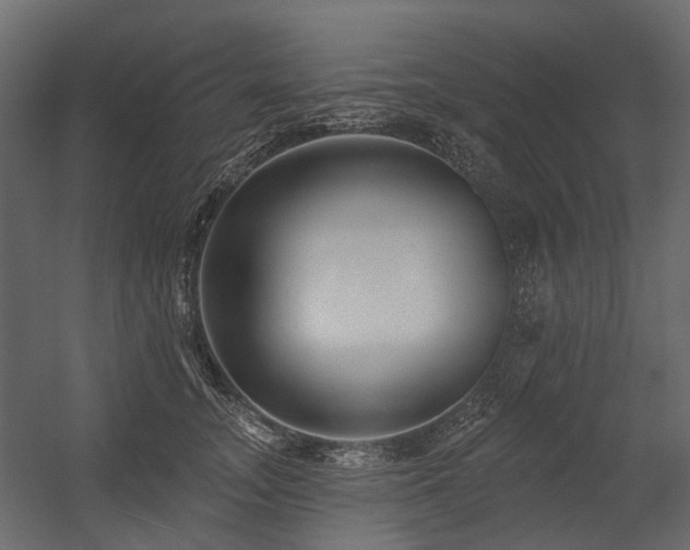 X0000054380755200507291117