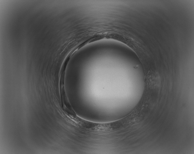 X0000054380756200507291117