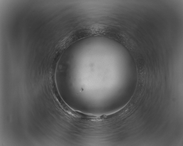 X0000054380757200507291117