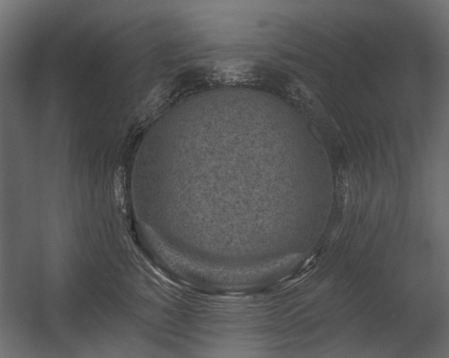 X0000054380760200507291117