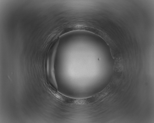 X0000054380762200507291117