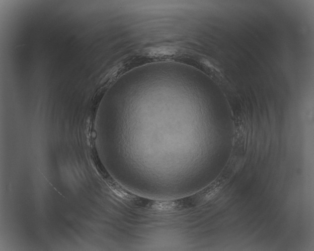 X0000054380767200507291117