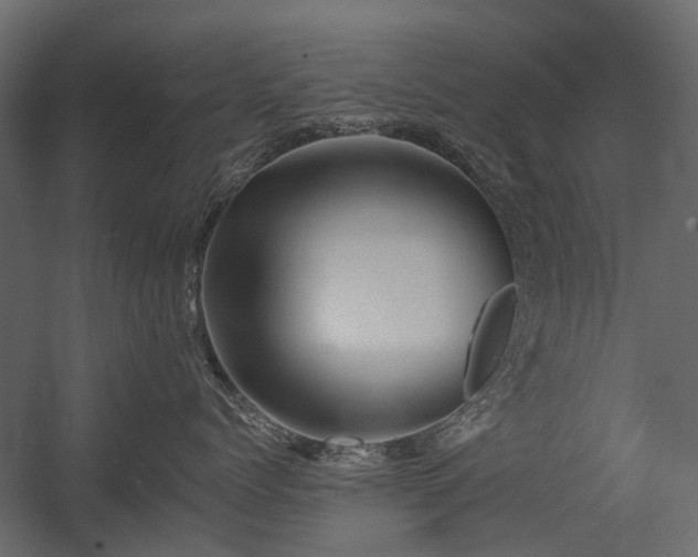 X0000054380768200507291117