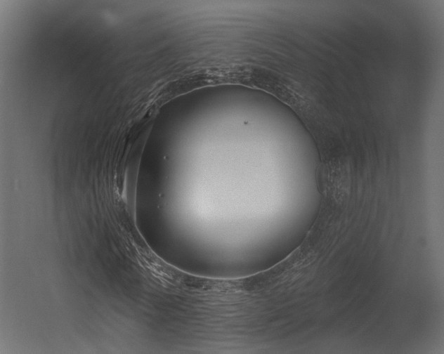 X0000054380770200507291116