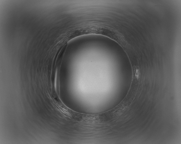 X0000054380771200507291116