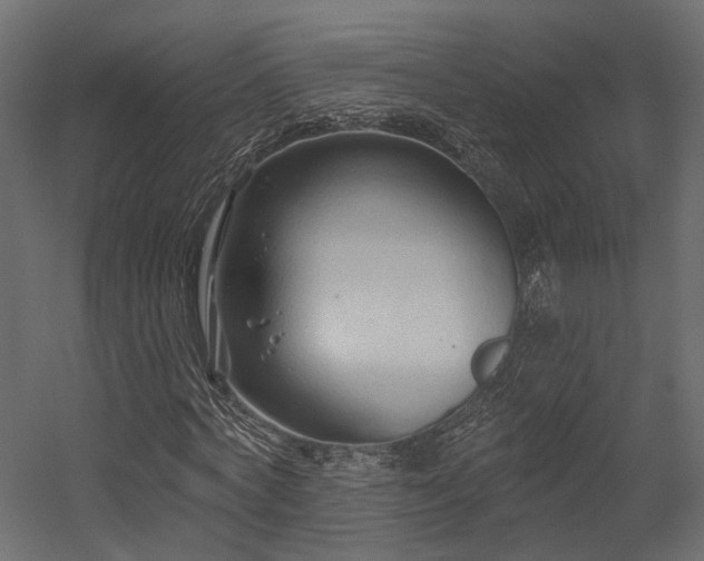 X0000054380772200507291116