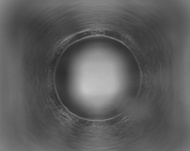 X0000054380773200507291116