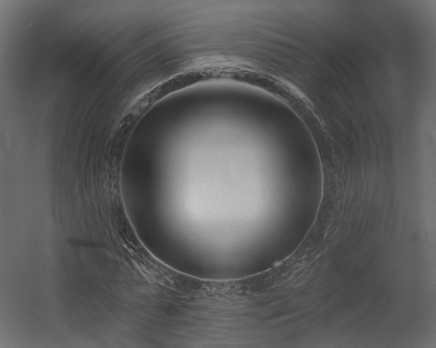 X0000054380775200507291116