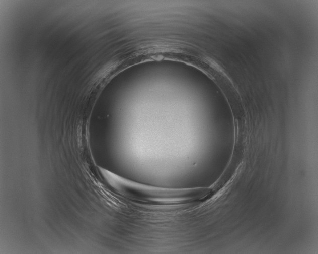 X0000054380777200507291116