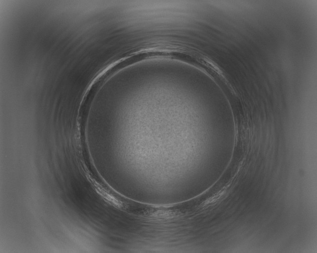 X0000054380779200507291116