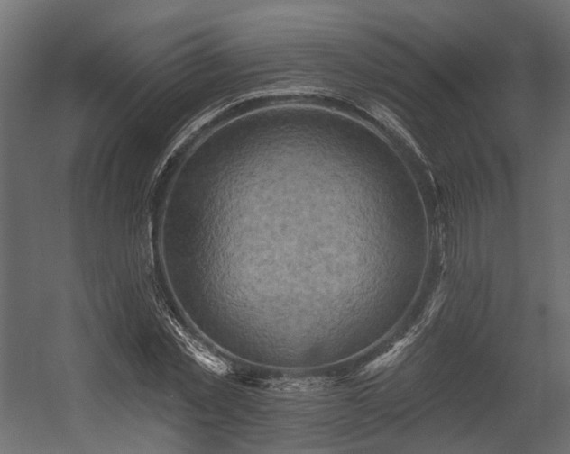 X0000054380781200507291116