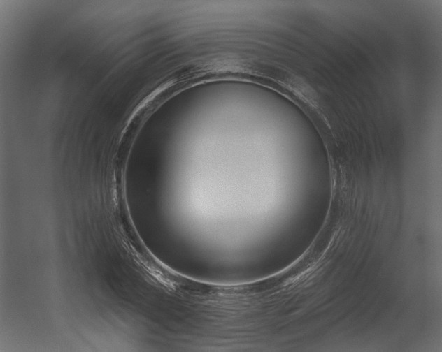 X0000054380782200507291116
