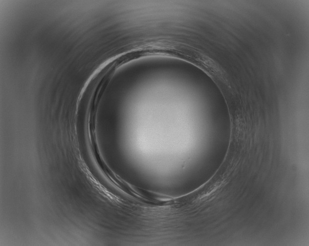 X0000054380784200507291116