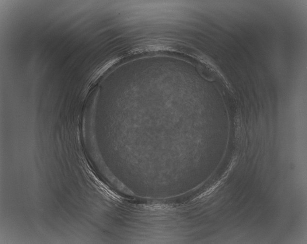 X0000054380785200507291116
