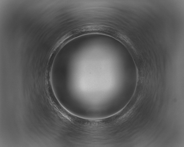 X0000054380786200507291116