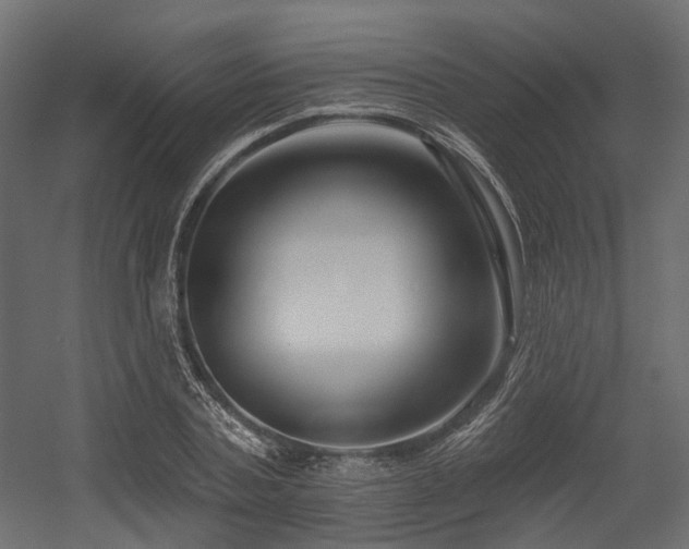 X0000054380787200507291116