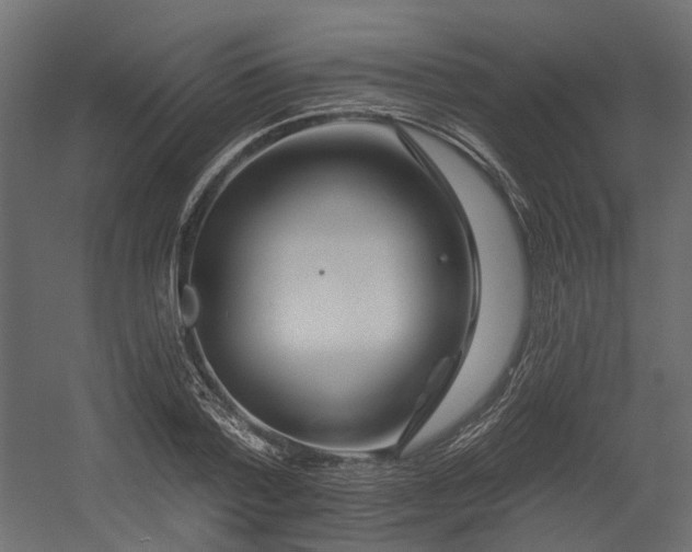 X0000054380788200507291116