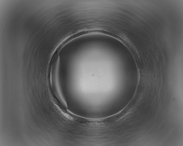 X0000054380789200507291116