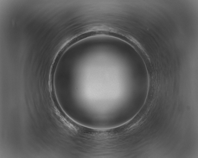 X0000054380791200507291116