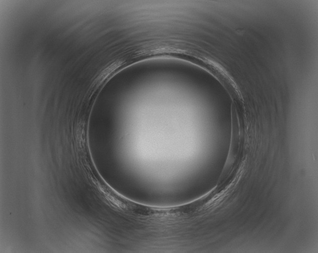 X0000054380793200507291116