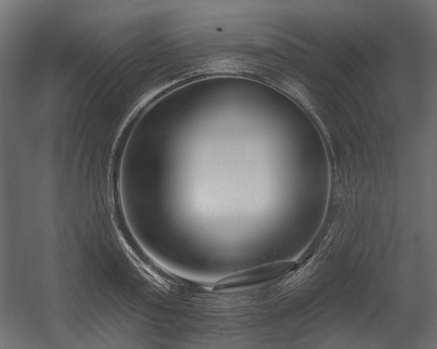 X0000054380795200507291116