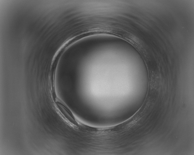 X0000054380796200507291116