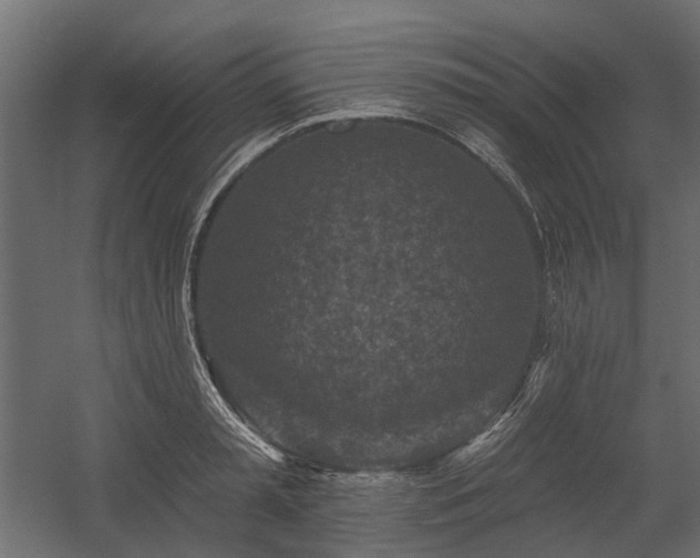 X0000054380797200507291116