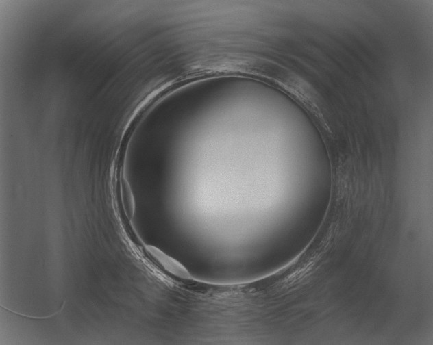 X0000054380798200507291116
