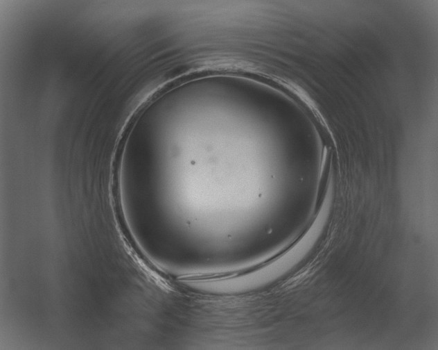 X0000054380799200507291116