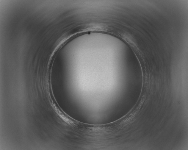 X0000054380800200507291116