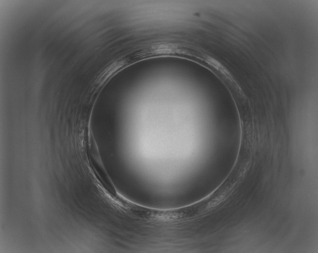 X0000054380801200507291116