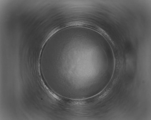 X0000054380802200507291116