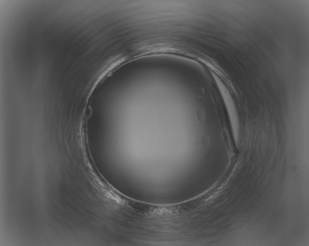 X0000054380806200507291116
