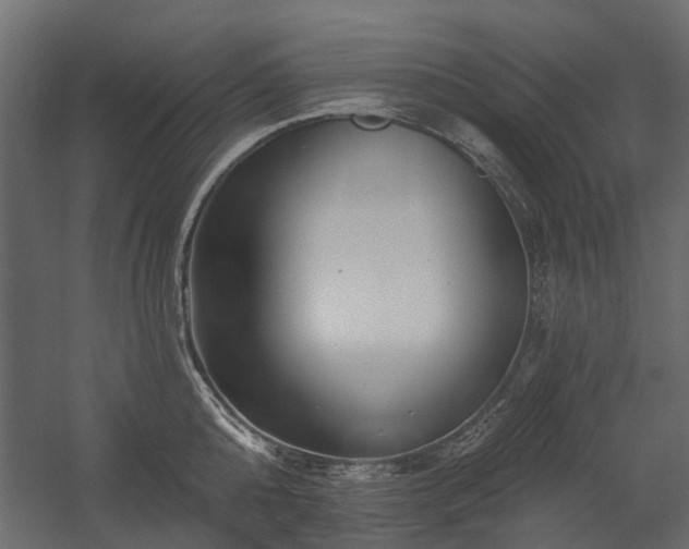 X0000054380808200507291116